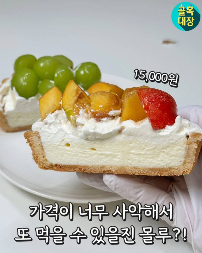 현재 반응 터진(n) 파리바게뜨 과일 타르트.JPG | 인스티즈