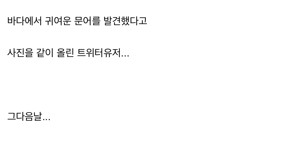 바다에서 귀여운 생물을 발견한 한 트위터 유저.jpg | 인스티즈