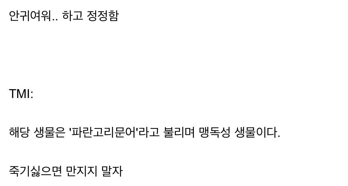 바다에서 귀여운 생물을 발견한 한 트위터 유저.jpg | 인스티즈