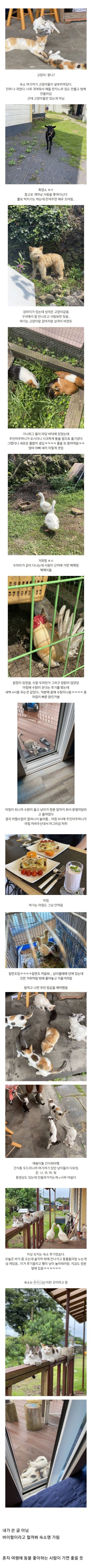 제주도의 한 동물 숙소 후기.jpg | 인스티즈