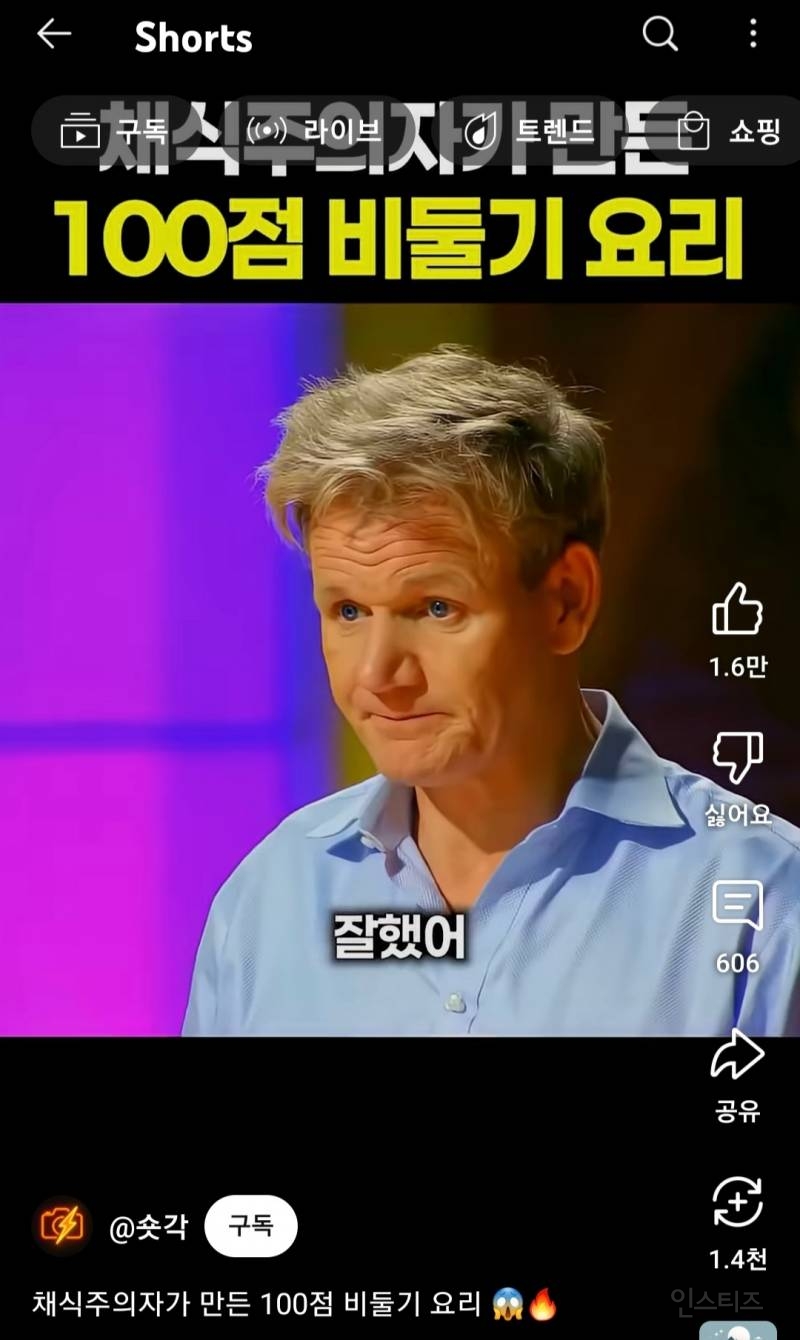 채식주의자가 만든 100점 비둘기 요리 | 인스티즈