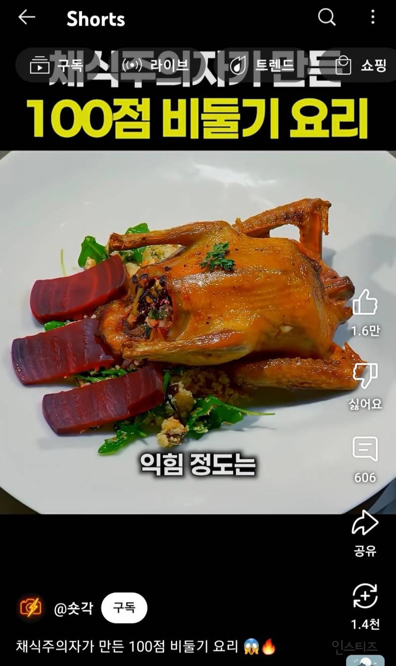 채식주의자가 만든 100점 비둘기 요리 | 인스티즈