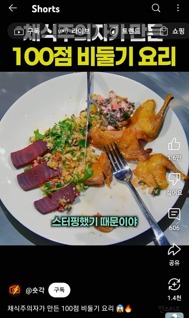 채식주의자가 만든 100점 비둘기 요리 | 인스티즈