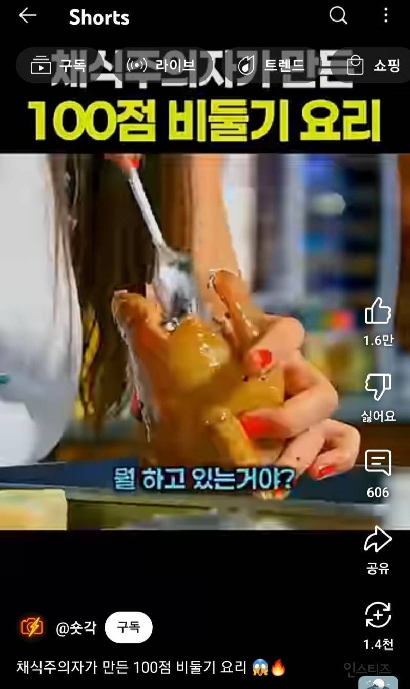 채식주의자가 만든 100점 비둘기 요리 | 인스티즈