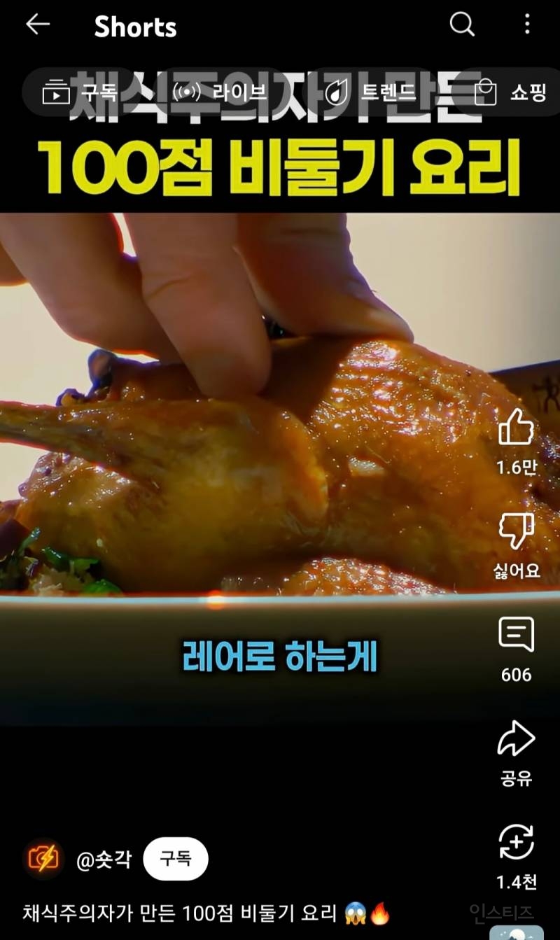 채식주의자가 만든 100점 비둘기 요리 | 인스티즈
