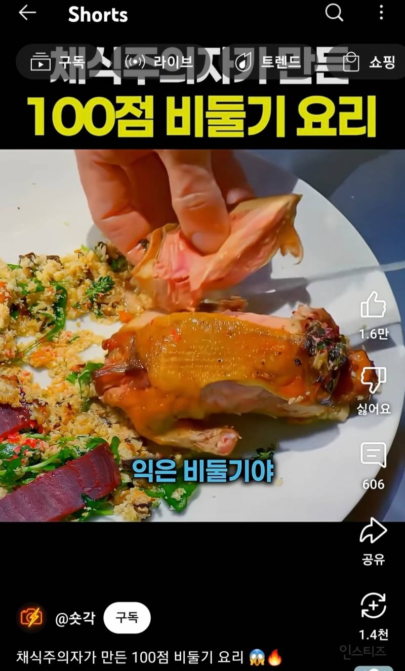 채식주의자가 만든 100점 비둘기 요리 | 인스티즈