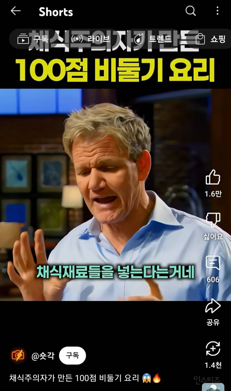 채식주의자가 만든 100점 비둘기 요리 | 인스티즈