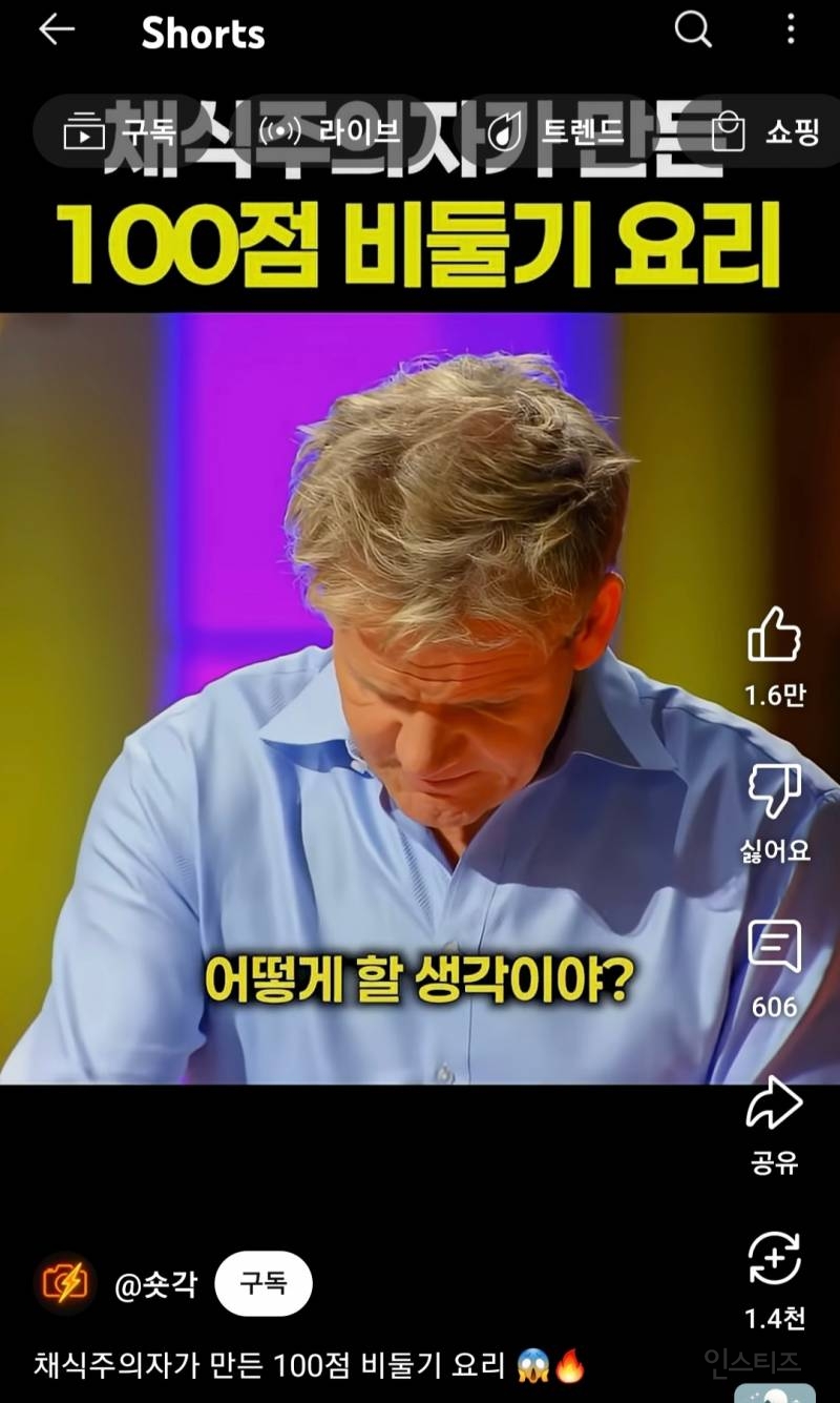 채식주의자가 만든 100점 비둘기 요리 | 인스티즈