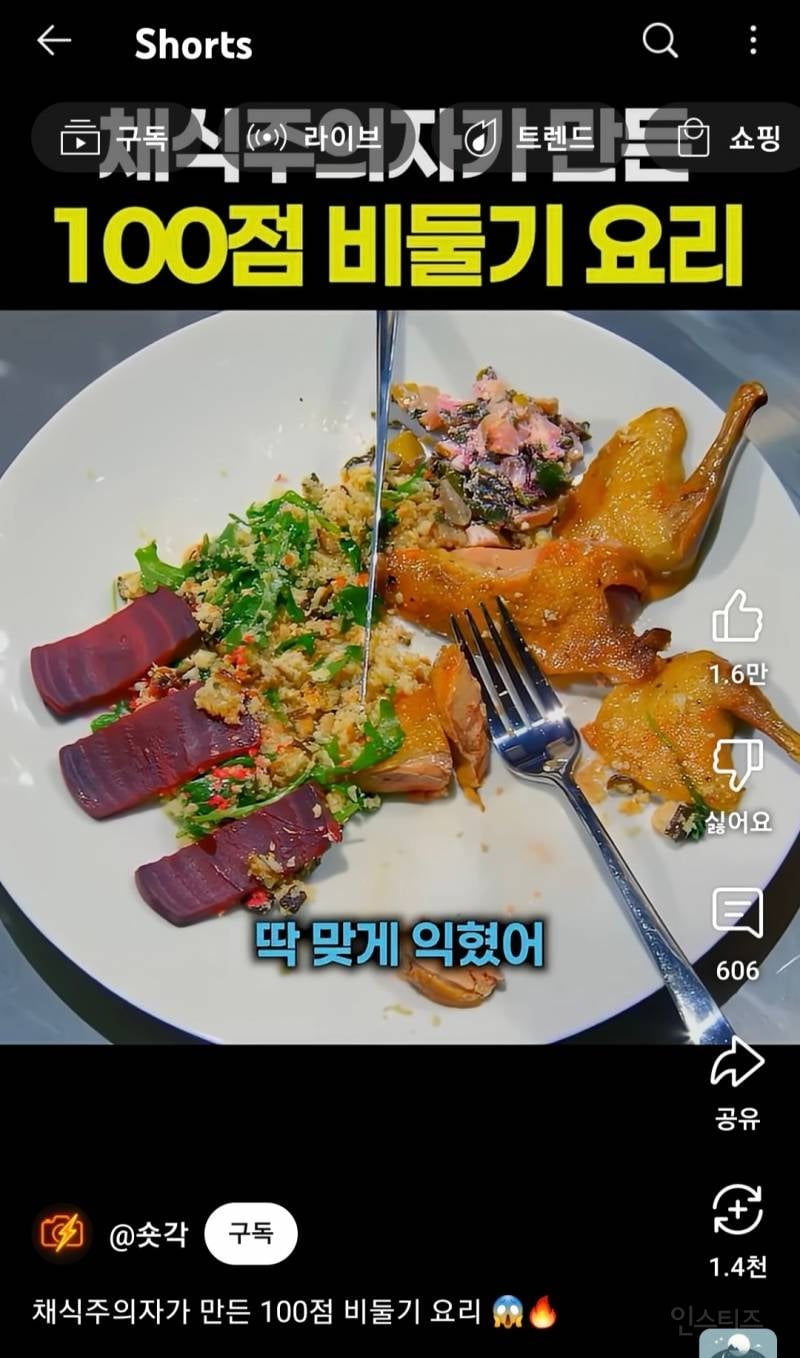 채식주의자가 만든 100점 비둘기 요리 | 인스티즈