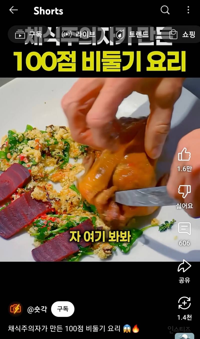 채식주의자가 만든 100점 비둘기 요리 | 인스티즈