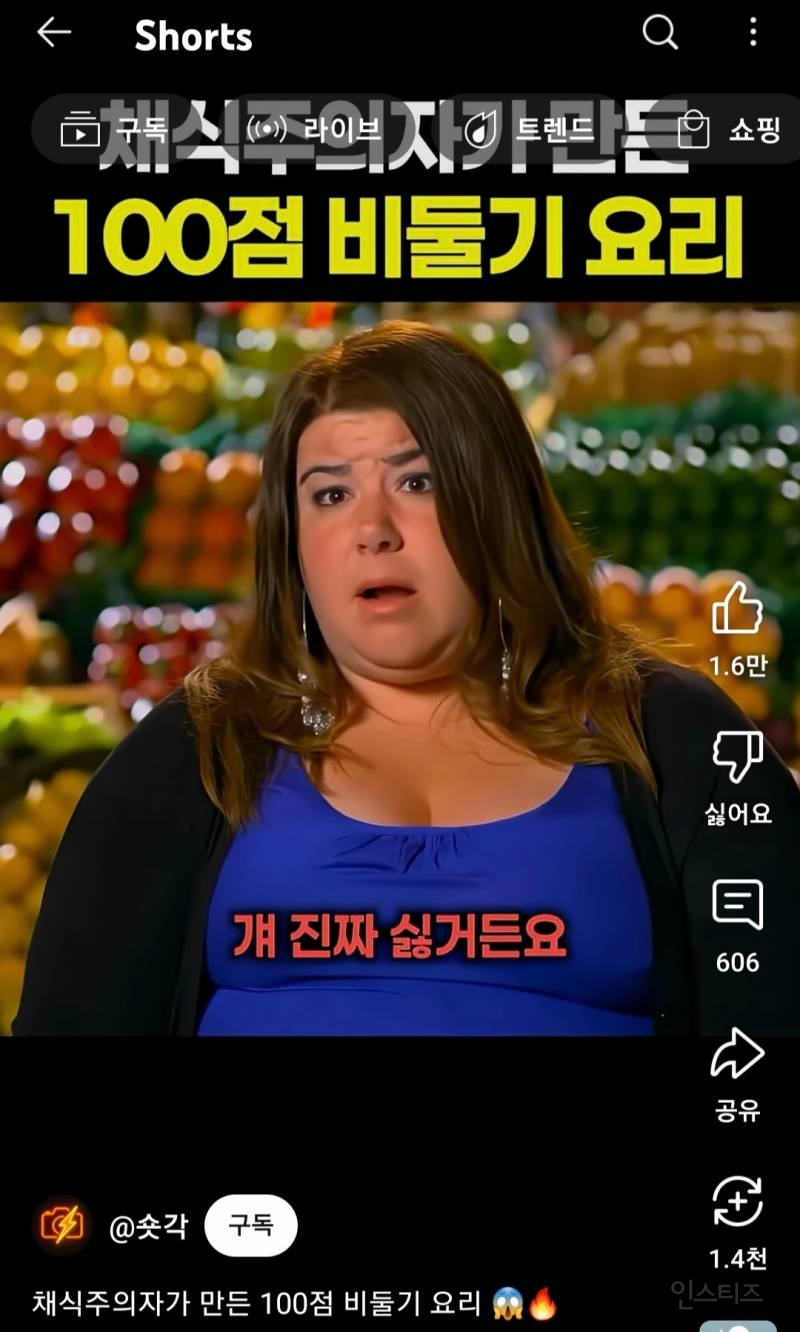채식주의자가 만든 100점 비둘기 요리 | 인스티즈