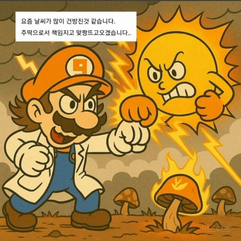 날씨로 주기적으로 싸우는 버섯갤러리와 식물갤러리 | 인스티즈