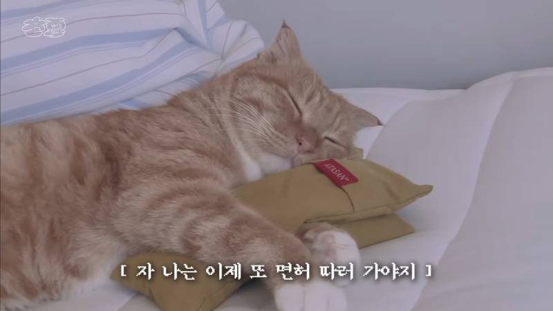 운전면허 따러 가서 억까당하는 유튜버 | 인스티즈