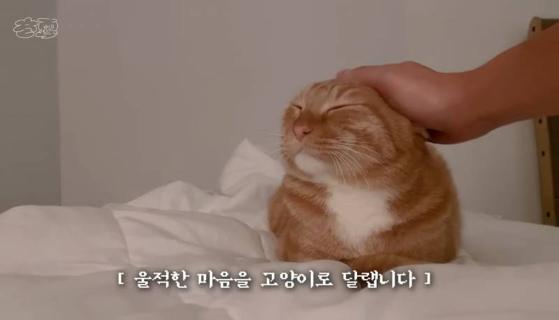 운전면허 따러 가서 억까당하는 유튜버 | 인스티즈