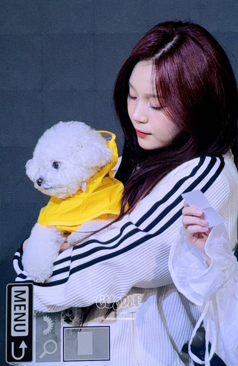 비비지 신비 반려견랑 함께하는 팬싸인회 프리뷰.jpg | 인스티즈
