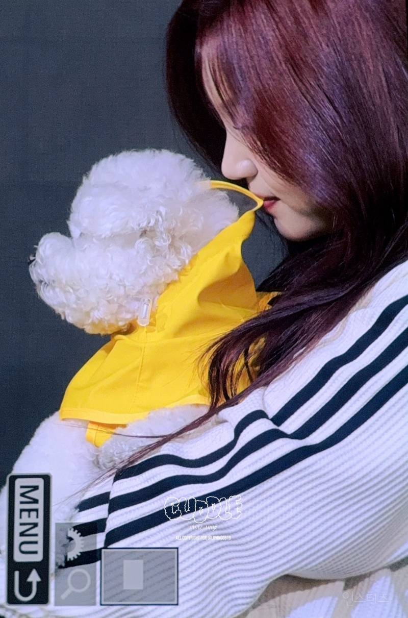 비비지 신비 반려견랑 함께하는 팬싸인회 프리뷰.jpg | 인스티즈