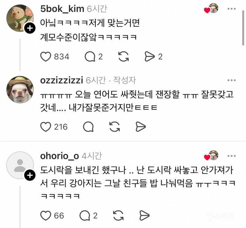 우리 강아지 유치원 도시락 잘못 가져갔어.. | 인스티즈