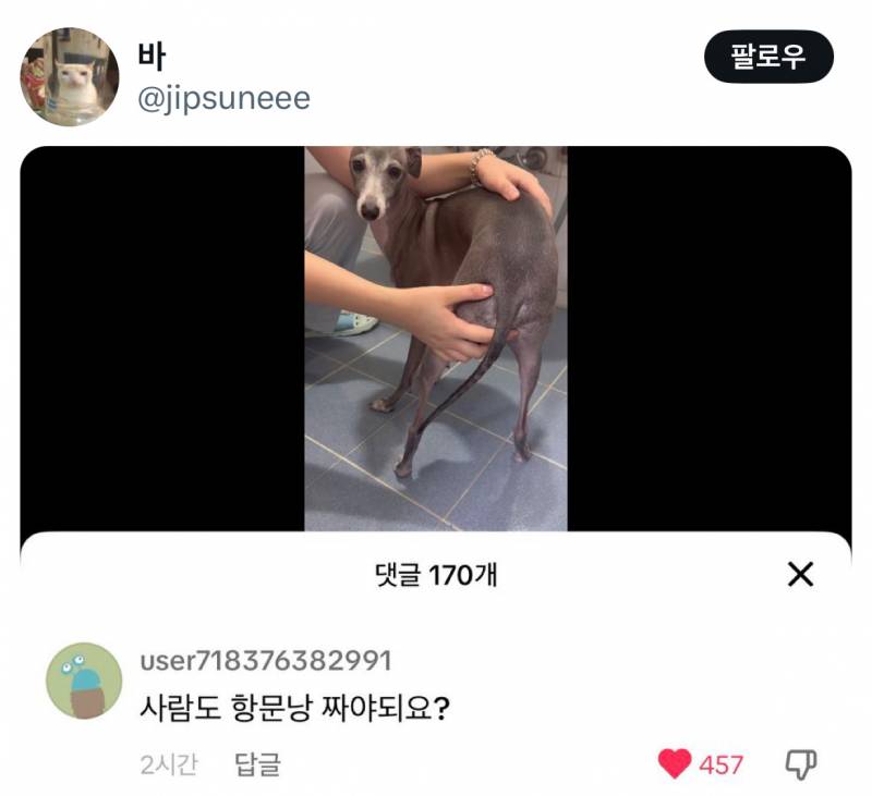 잼민이들 드립은 틱톡에서 직접보면 안웃긴데 짹에서 보면 ʲᵒⁿⁿᵃ웃김 | 인스티즈