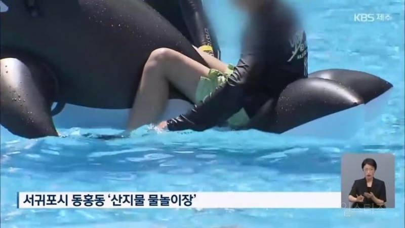"파라솔 빌려야 입장?” 제주 왜 이러나 또 바가지 논란 현지 주민에게 까지.. | 인스티즈