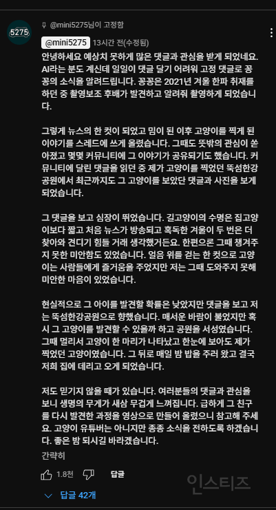꽁꽁 얼어붙은 한강 위를 걸어다니던 고양이 근황 | 인스티즈