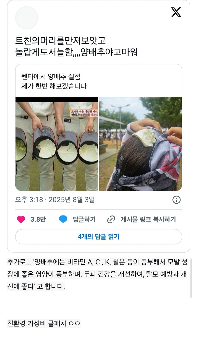펜타에서 양배추 실험 제가 한번 해보겠습니다 | 인스티즈