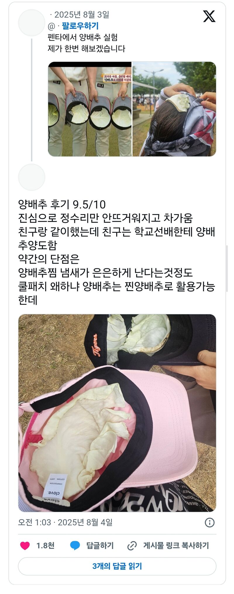펜타에서 양배추 실험 제가 한번 해보겠습니다 | 인스티즈
