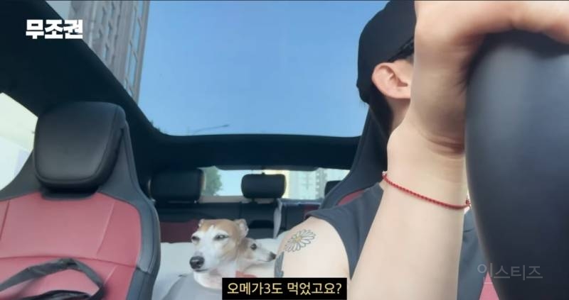 가끔 1일 3산책도 한다는 반려인 .jpg | 인스티즈