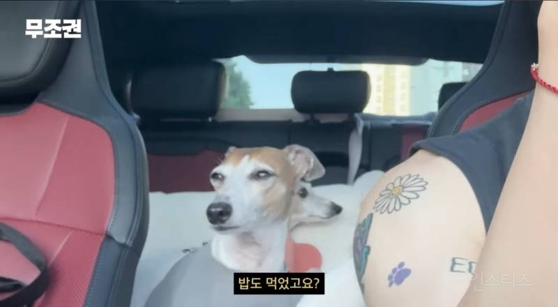 가끔 1일 3산책도 한다는 반려인 .jpg | 인스티즈