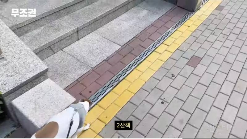 가끔 1일 3산책도 한다는 반려인 .jpg | 인스티즈