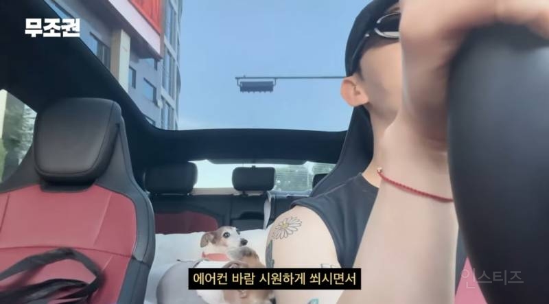 가끔 1일 3산책도 한다는 반려인 .jpg | 인스티즈