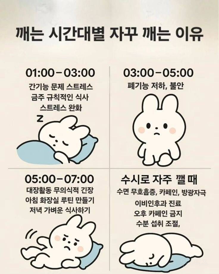 시간대별로 자꾸 깨는 이유.jpg | 인스티즈