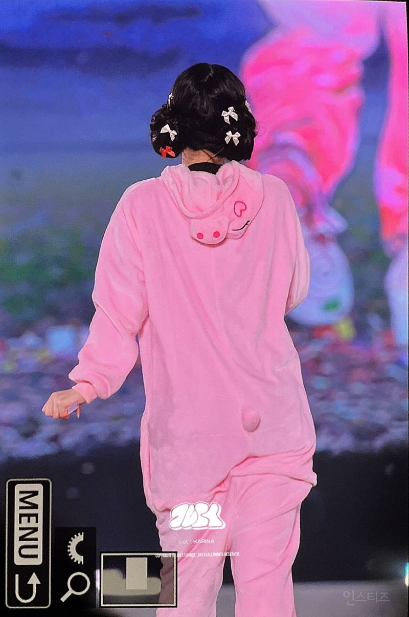 다시봐도 레전드였던 도쿄돔 카리나 사진들jpg | 인스티즈