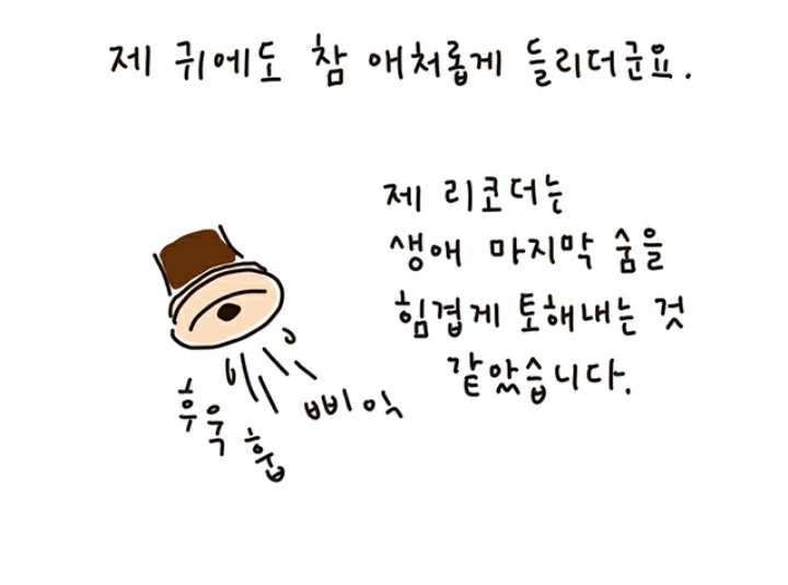 리코더 못 부는데 음악 실기 80점 맞은 이야기 | 인스티즈