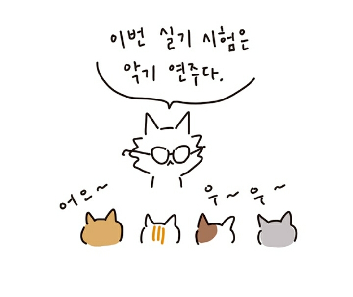 리코더 못 부는데 음악 실기 80점 맞은 이야기 | 인스티즈