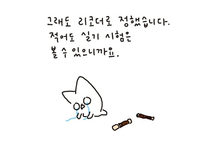 리코더 못 부는데 음악 실기 80점 맞은 이야기 | 인스티즈