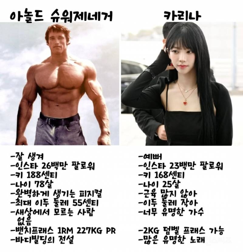아놀드 슈워제네거vs 카리나 당신의 선택은? | 인스티즈