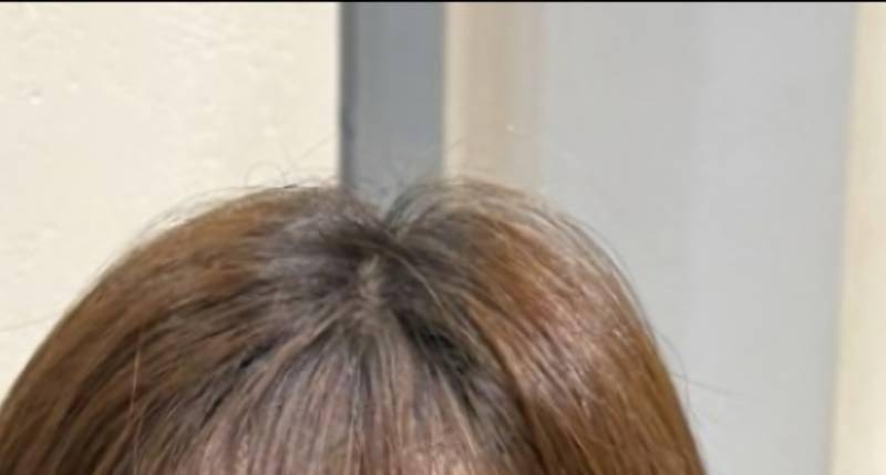 [잡담] 지브리 첨 해봤는데 현실고증 오진다 | 인스티즈