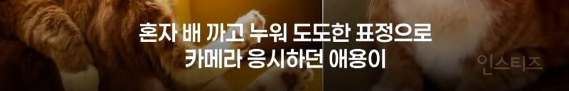 영화 좀비딸이 제작비를 아낄 수 있었던 이유.jpg | 인스티즈