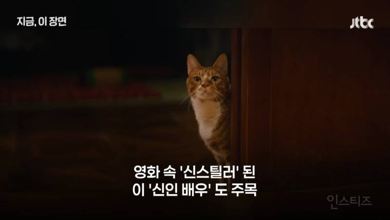 영화 좀비딸이 제작비를 아낄 수 있었던 이유.jpg | 인스티즈