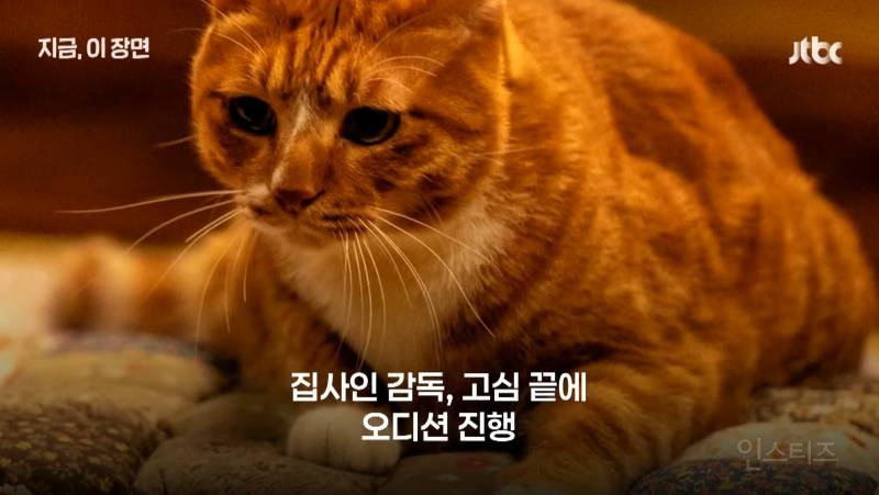영화 좀비딸이 제작비를 아낄 수 있었던 이유.jpg | 인스티즈