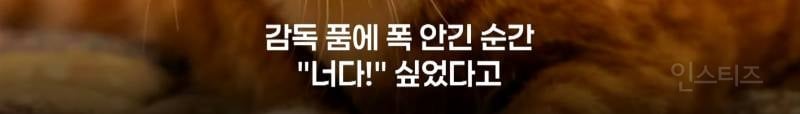 영화 좀비딸이 제작비를 아낄 수 있었던 이유.jpg | 인스티즈