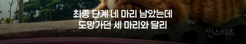 영화 좀비딸이 제작비를 아낄 수 있었던 이유.jpg | 인스티즈