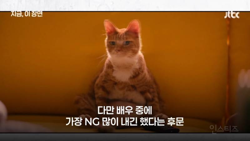 영화 좀비딸이 제작비를 아낄 수 있었던 이유.jpg | 인스티즈