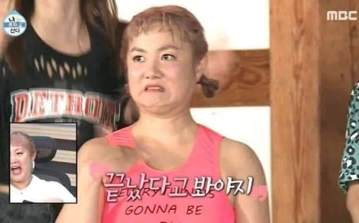 [잡담] 대타오태곤ㅋ | 인스티즈