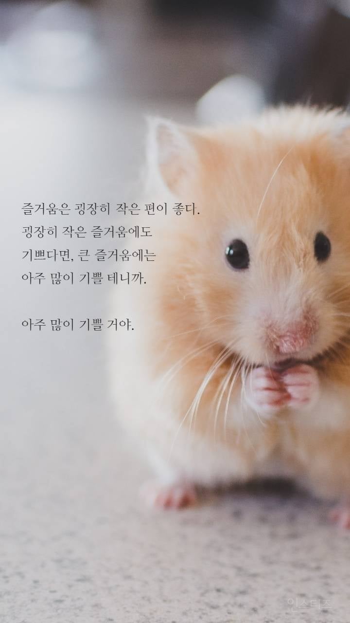 보노보노 명언 | 인스티즈
