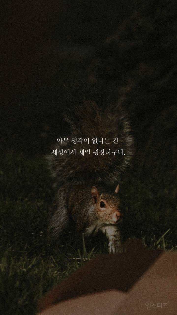보노보노 명언 | 인스티즈