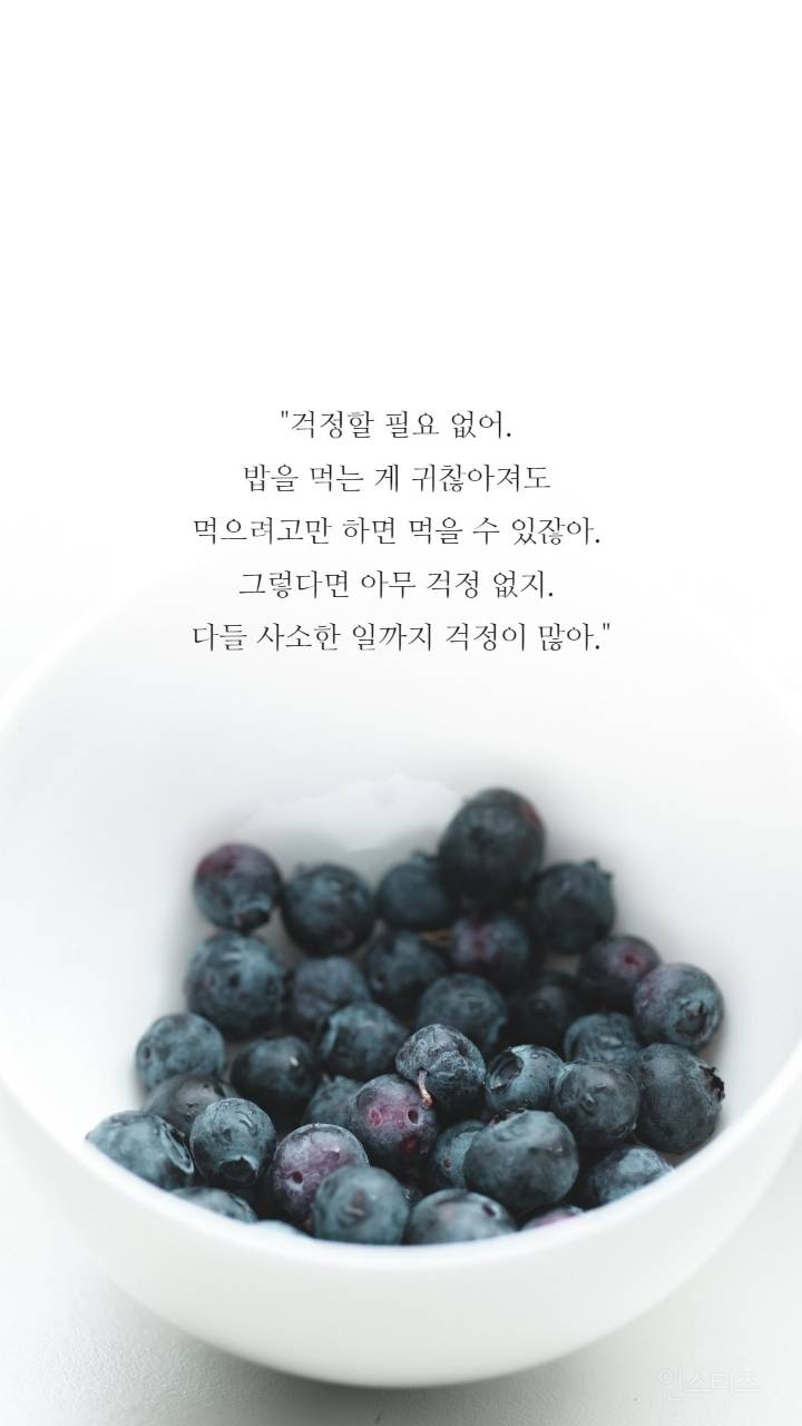 보노보노 명언 | 인스티즈