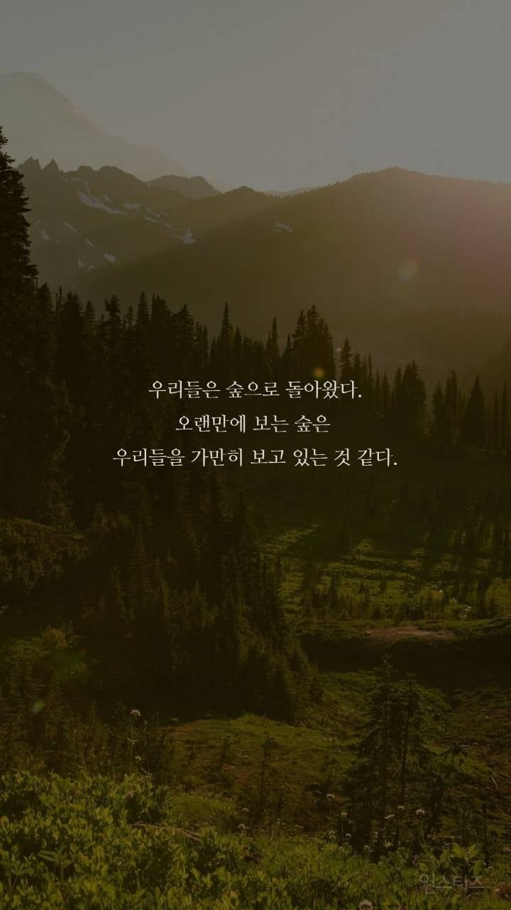 보노보노 명언 | 인스티즈