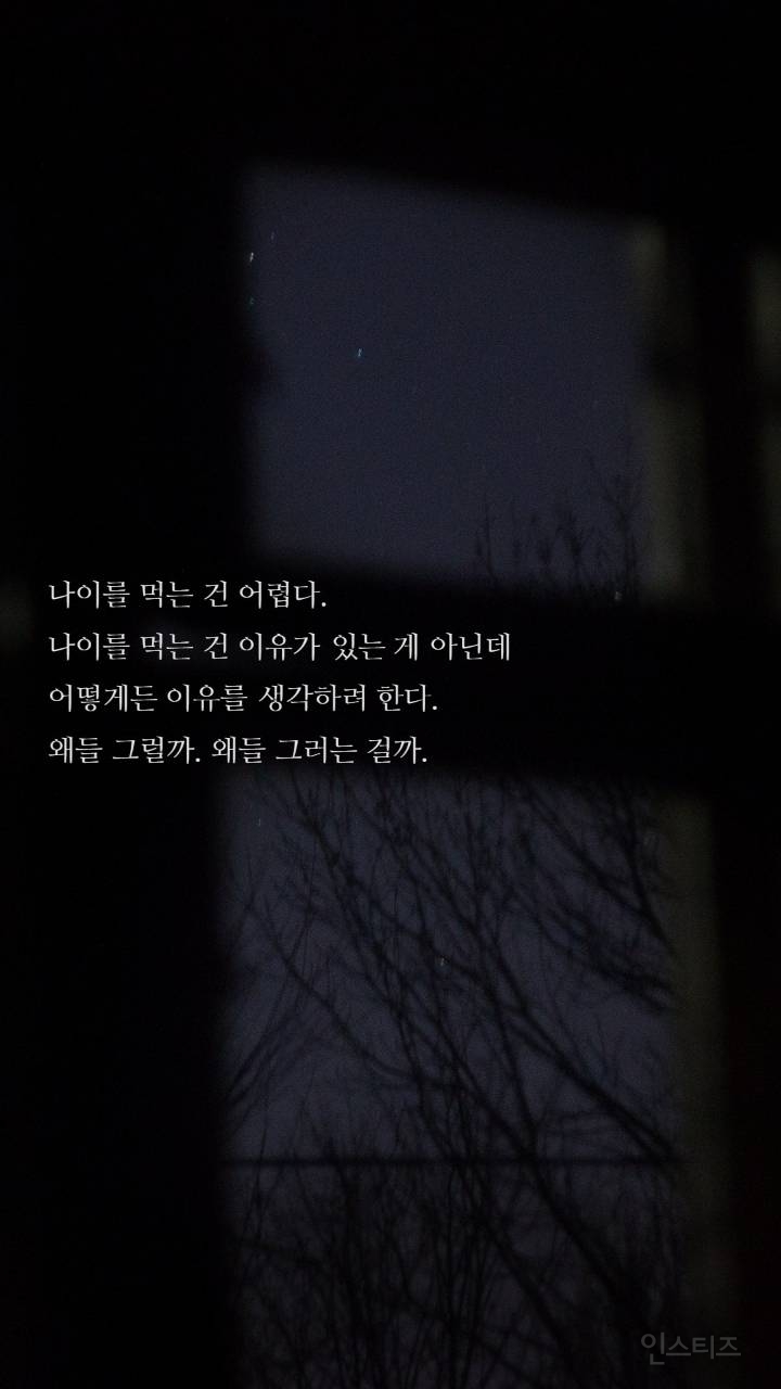 보노보노 명언 | 인스티즈