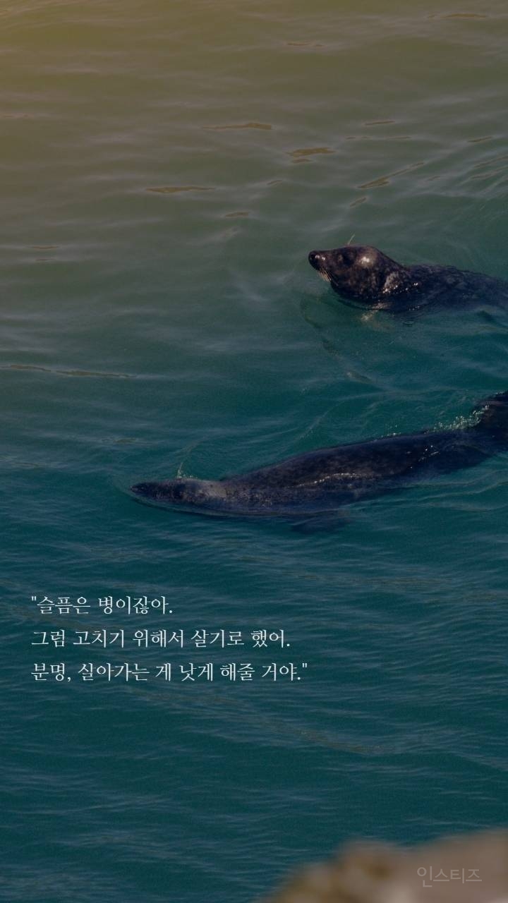 보노보노 명언 | 인스티즈